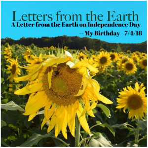 A Letter from the Earth on Independence Day
